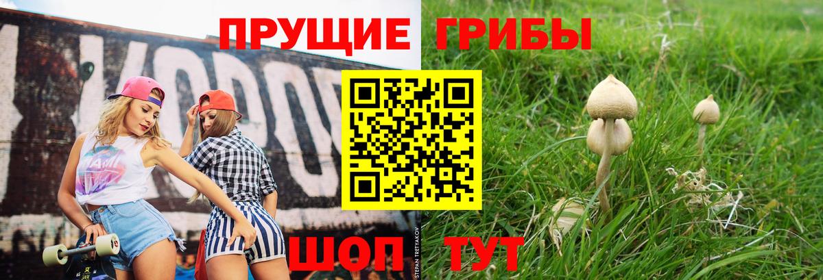Кимры  Псилоцибиновые грибы Cubensis  Вход с VPN 